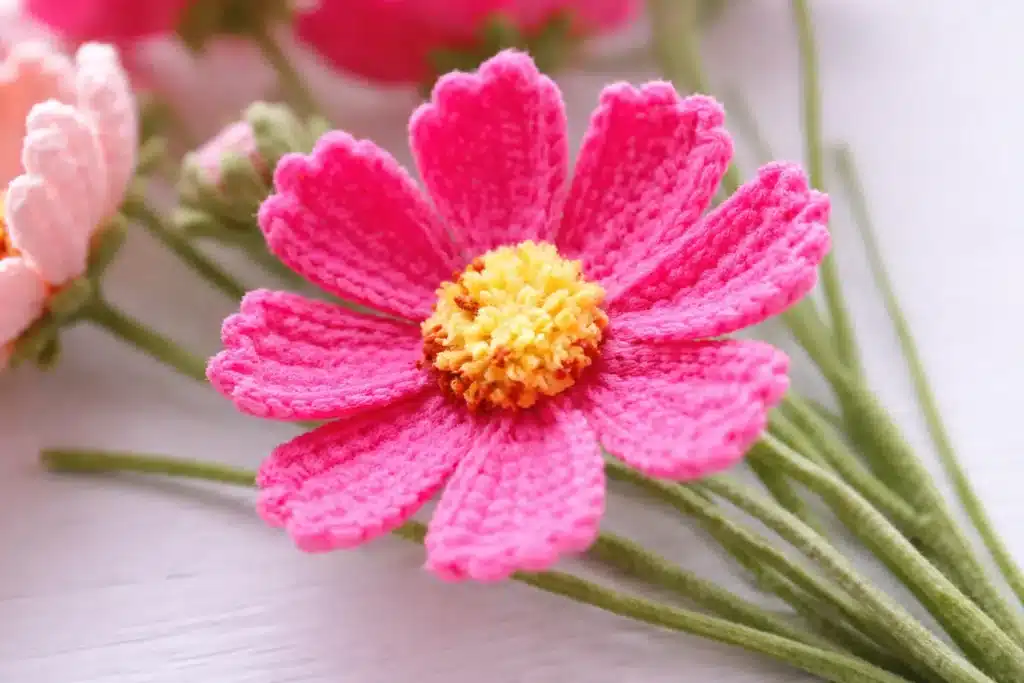 Crochet cosmos flower bouquet pattern full pink flower close-up with yellow center